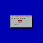 Debian-Raid – Typ der neuen Partition